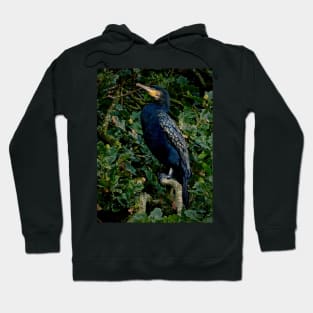 OAKEY COKEY CORMORANT Hoodie